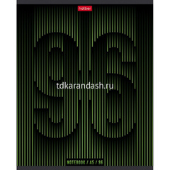 Тетрадь А5 96л линия 