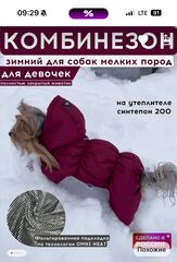 Зимний комбинезон для собак с капюшоном (девочка)