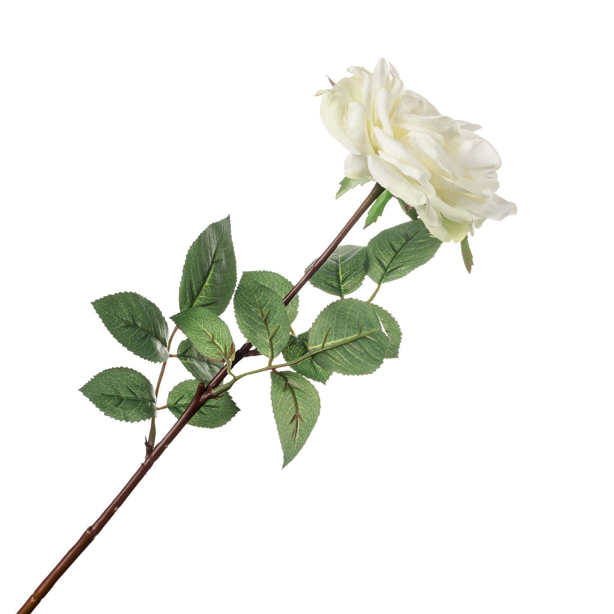 Роза белая  71 см