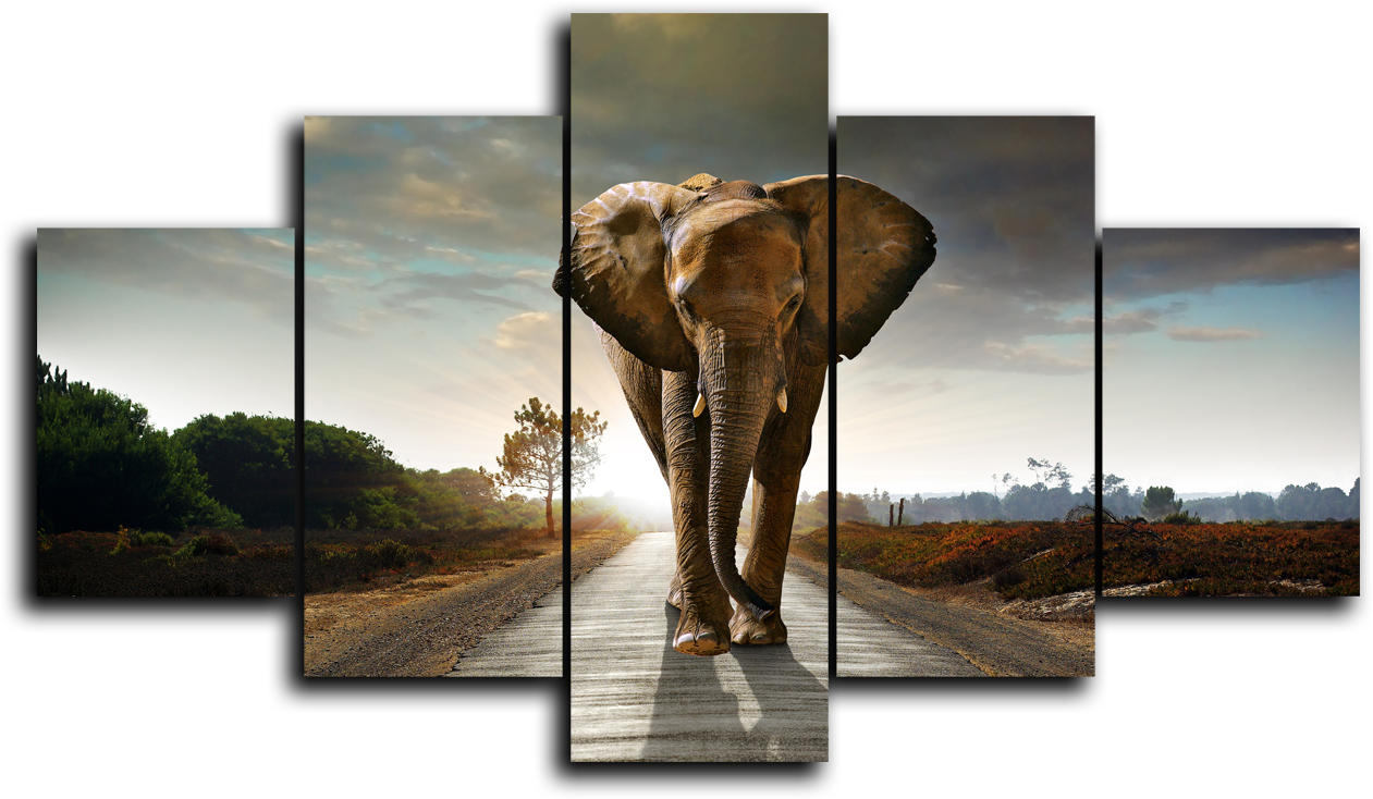 Животные Модульная картина "Слон идет" М940.png