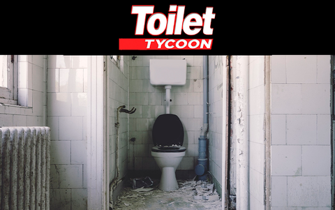 Toilet Tycoon (для ПК, цифровой код доступа)