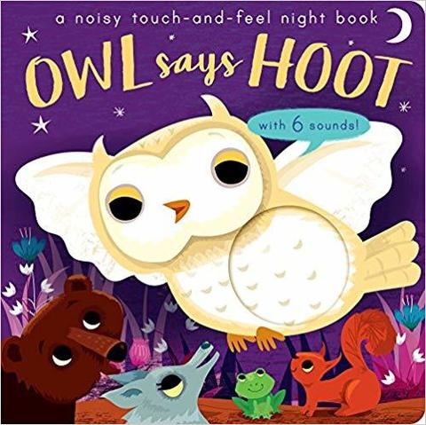 Owl Says Hoot : A noisy touch-and-feel night book