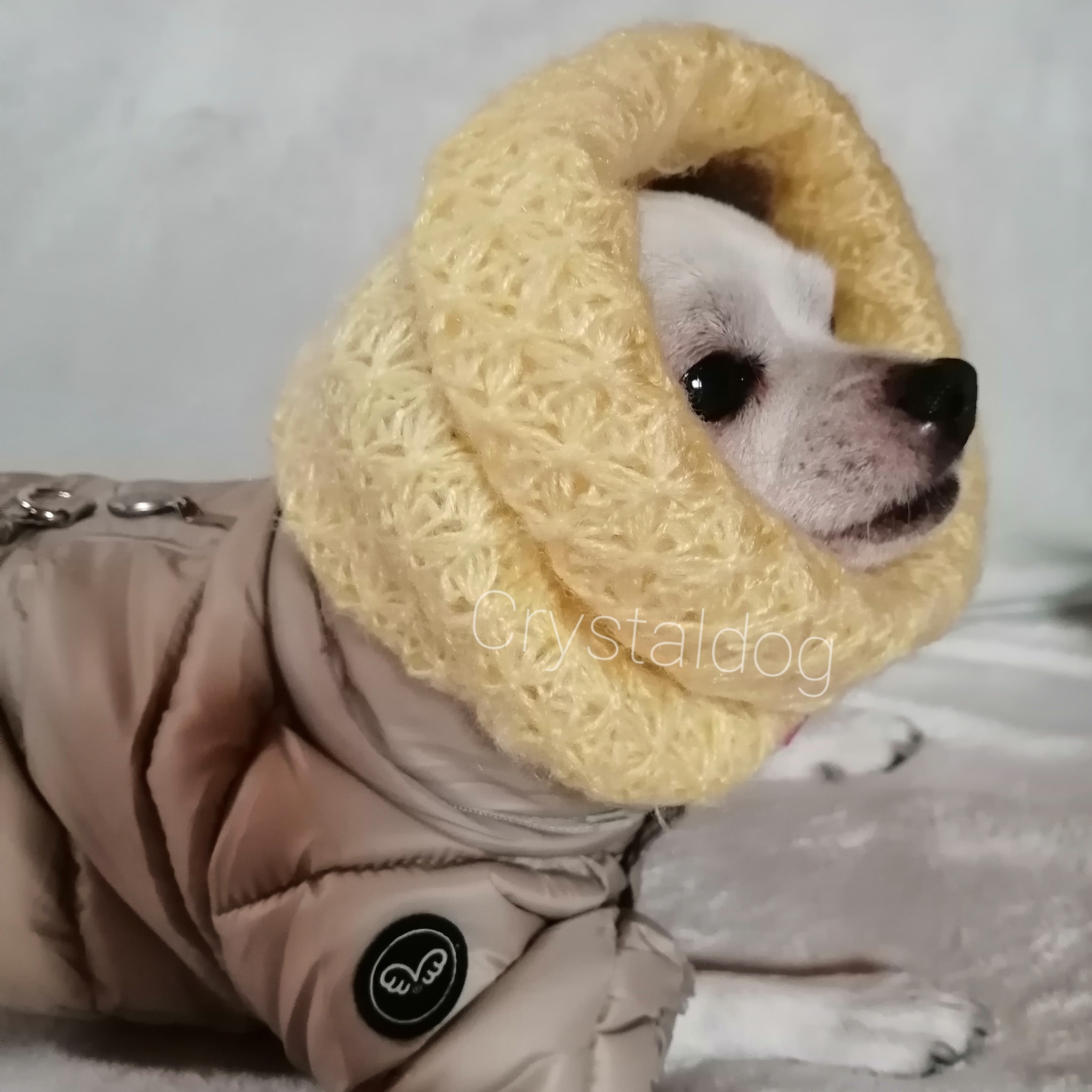 Снуды и шарфы для собак купить в интернет-магазине недорого, цена с доставкой в Москве