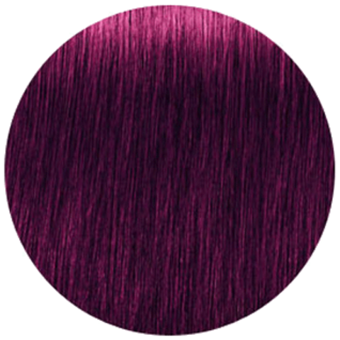 Schwarzkopf Igora Absolutes 4-90 (Средний коричневый фиолетовый натуральный) - Стойкая крем-краска для окрашивания зрелых волос