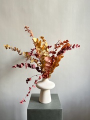 Эвкалипт Стуартиана стабилизированный осенний микс