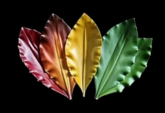 Силиконовый молд 