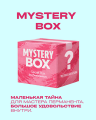 Secret Box от Permanentum