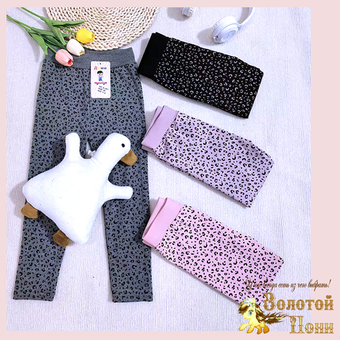 Лосины хлопок д (3-6) 260416-D-А201