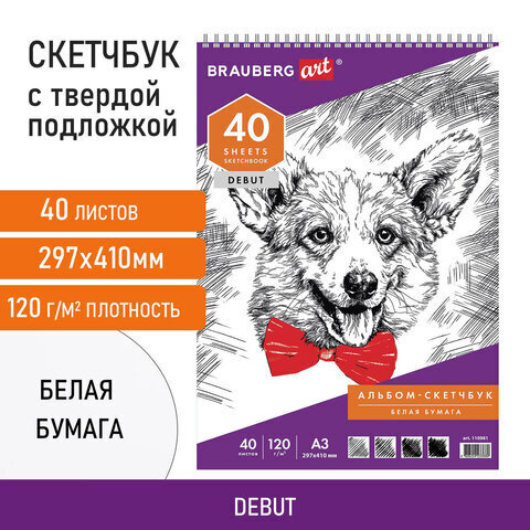Скетчбук, белая бумага 120 г/м2, 297х410 мм, 40 л., гребень,жёсткая подложка, BRAUBERG ART DEBUT, 110981