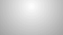 Пленка оракал 