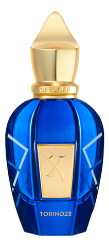 Torino23