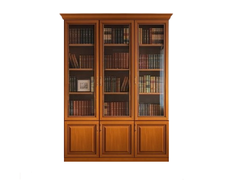 библиотека 