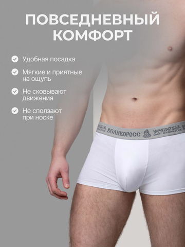 Комплект из 3 трусов-боксеры – «Арктические войска»