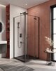 Cezares LINER-A-1-100-C-Cr-L LINER-A-1-100-C-Cr-L Душевой уголок