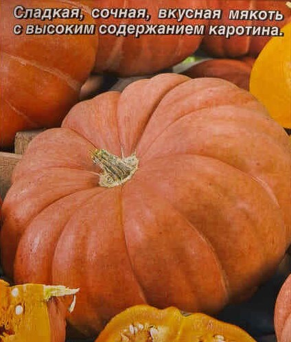 Тыква крупноплодная Медовый десерт