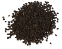 Бузина черная (плоды, 100гр.) (Старослав)