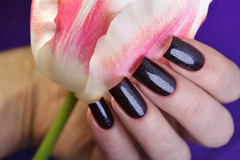 El Corazon 423/ 956 active Bio-gel  Eastern Organza