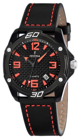 Наручные часы Festina F16491/6 фото