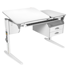 Растущая парта Дэми СУТ 45 с лотком и тумбой ТСН.05 (1200×565 мм)