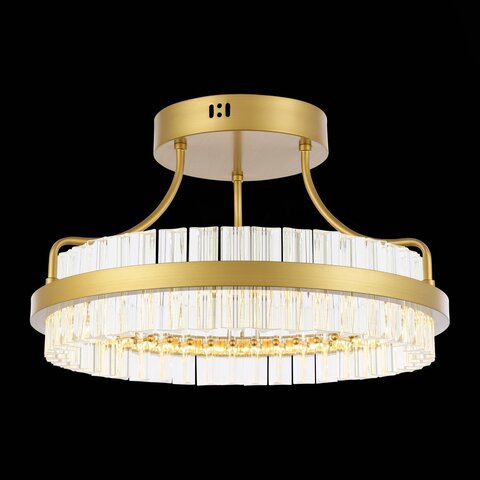 Светильник потолочный ST Luce Cherio SL383.202.01