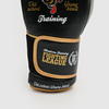 Детские перчатки Hardcore Training Fighting League Black PU