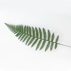 Папоротник, зелень искусственная, 56 см., набор 10 веток.