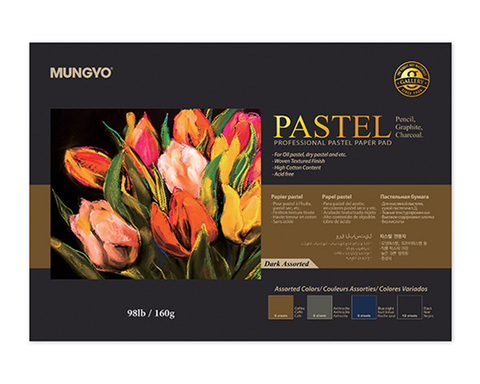 Mungyo Склейка для пастели, 160г/м2, А4, 30л. (3 цвета по 6 листа + черная 12 листов)