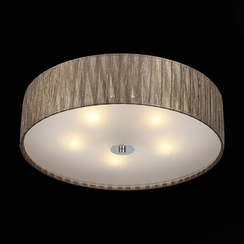 Светильник потолочный ST Luce Rondella SL357.702.05