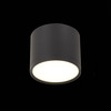 Светильник потолочный ST Luce ST113.442.09