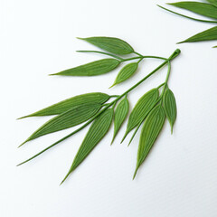 Ампельное растение, зелень искусственная свисающая, зеленая, 73 см, набор 1 букет