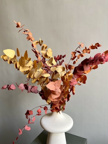 Эвкалипт Стуартиана стабилизированный осенний микс