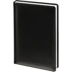 Ежедневник датированный 2026 АТТАСНЕ А5, 180л, 143х210мм, Каньон черный