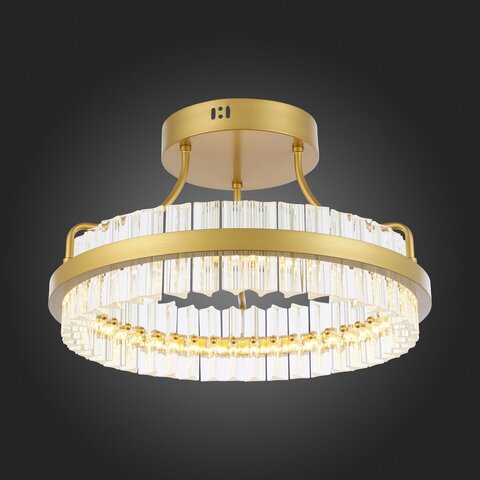 Светильник потолочный ST Luce Cherio SL383.202.01