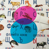 Набор больших светофильтров с ручкой, 5 шт 5