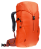Картинка рюкзак туристический Deuter Climber 22 Papaya/Redwood - 3