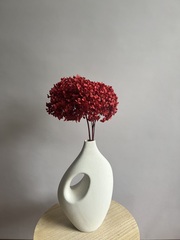 Гортензия стабилизированная бордовая