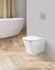 BelBagno BB520CHR/SC ARDENTE-R Унитаз подвесной безободковый, с сиденьем дюропласт soft close, BB520CHR/SC