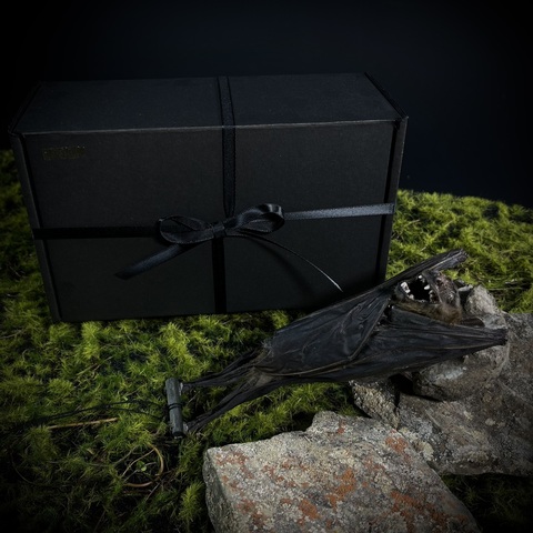 Летучая мышь в подарочной коробке