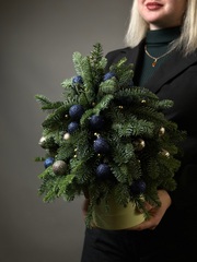 Хвоя в коробке «Хвойный калейдоскоп»