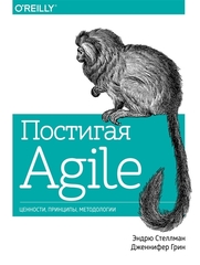 Постигая Agile. Ценности, принципы, методологии