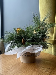 Композиция из хвои с апельсинами