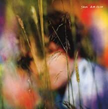 AMIDON, SAM: Sam Amidon