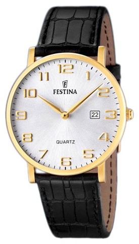 Наручные часы Festina F16478/2 фото