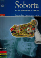 Sobotta. Атлас анатомии человека в 2-х томах. Том 1. Голова. Шея. Верхняя конечность