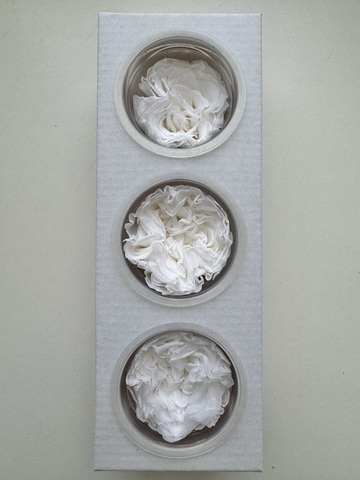 Роза сортовая 6-7см Белый (цена за 3шт)