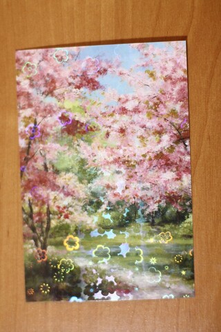 Цвет сакуры