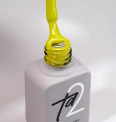 Гель-лак Ta2 / цветной гель-лак №069