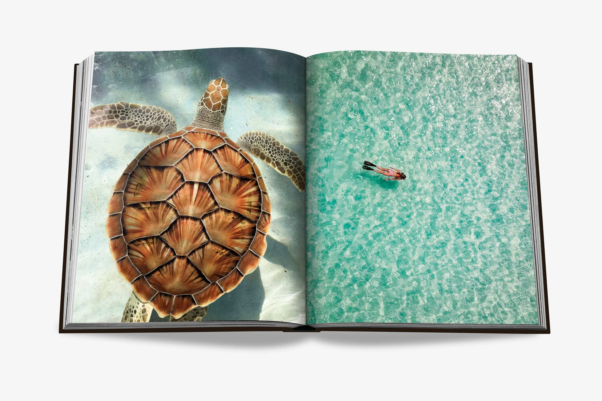 Книга Assouline Jamaica Vibes