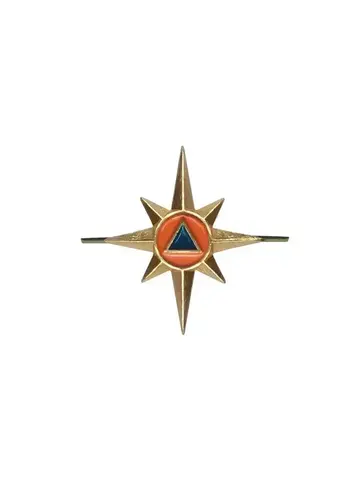 Эмблема петличная МЧС металл золото нового образца