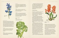 Ботаника для садоводов | Хэрриот Дж.